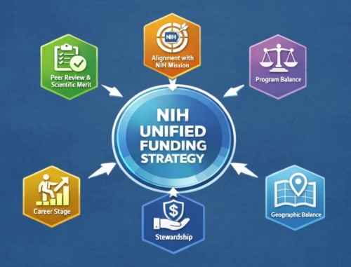 Infographic linking the NIH Unified Funding Strategy (at the center), to the six connected principles: peer review and scientific merit, alignment with the NIH mission, program balance, geographic balance, stewardship of funds, and career stage. ICs have long incorporated many of the principles outlined in the UFS, reflecting an approach we have championed when making funding decisions. We continue to prioritize science that asks novel or under-explored questions crucial to advancing research and ultimately improving the nation’s health.