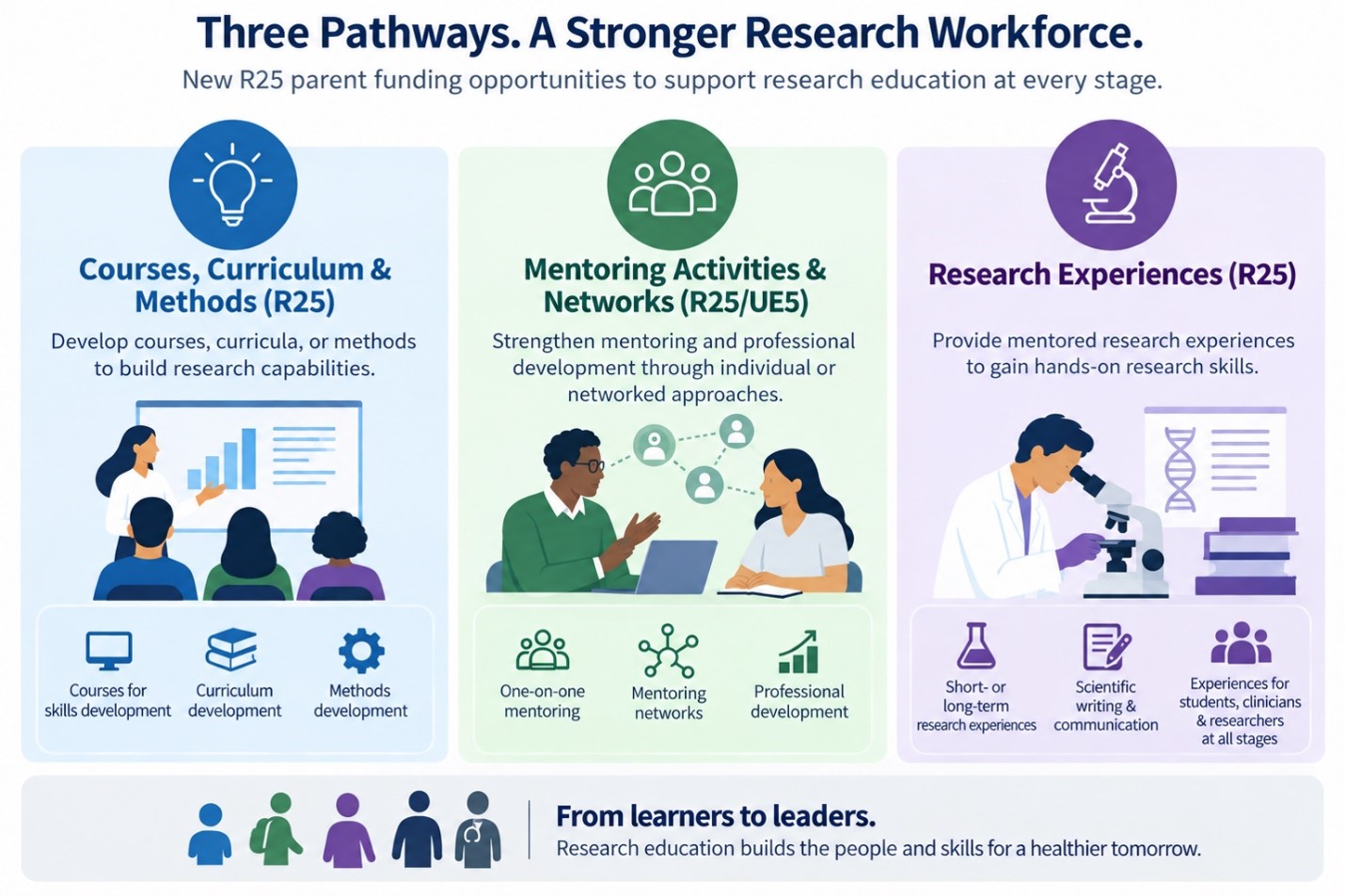 alt text: Infographic titled “Three Pathways. A Stronger Research Workforce.” Three panels illustrate NIH research education funding opportunities: Courses, Curriculum & Methods for developing courses, curricula, or methods, including courses for skills development; Mentoring Activities & Networks for strengthening mentoring and professional development; and Research Experiences for mentored, hands-on research. Illustrations depict classroom learning, mentoring and networking, and laboratory research. A banner at the bottom reads, “From learners to leaders,” emphasizing research education across educational and career stages.