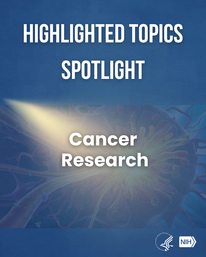 Graphic of spotlight reading 